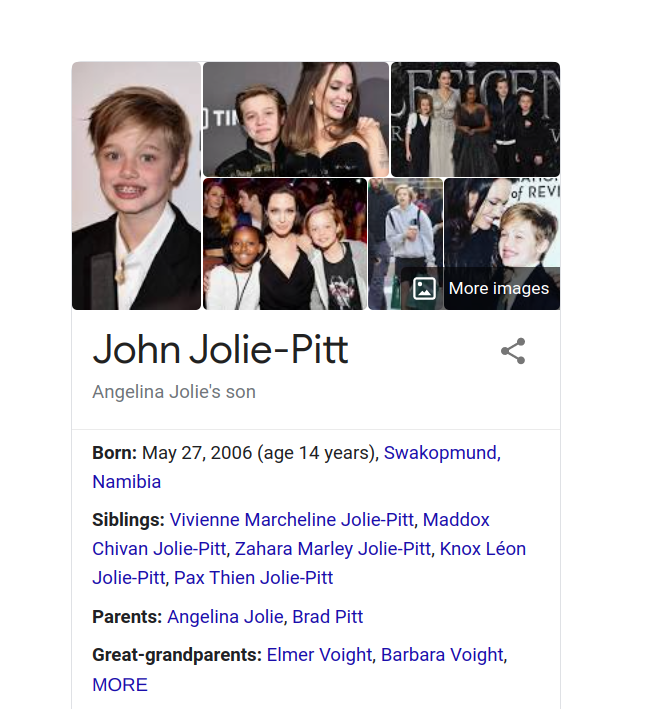 Shiloh Jolie Pitt And The Ongoing Claims Of Gender Vultures The Velvet Chronicle